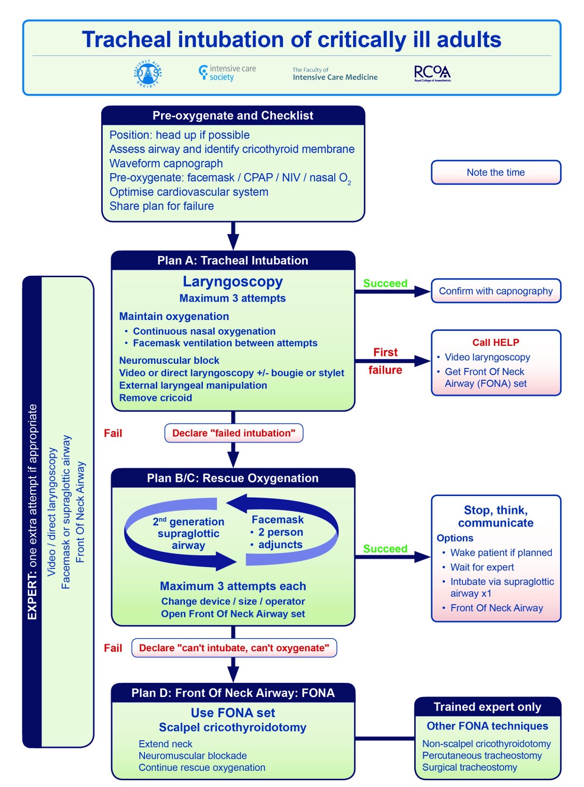 Tracheal intubation in critically ill adults algorithm