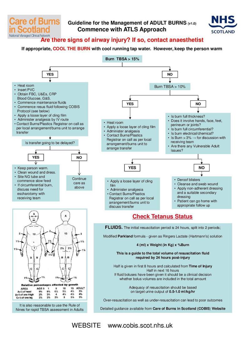 Guideline for the management of Adult Burns