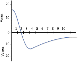 Salenius Curve