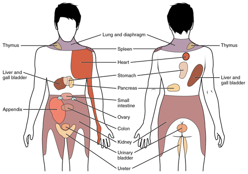 Depiction of visceral sensations map of the body