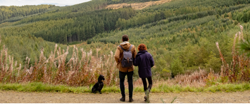 Two people enjoying a walk in the Scottish Borders with their dog