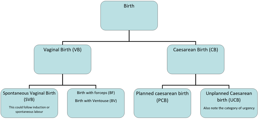 Flowchart showing preferred terminology to be used to describe birth