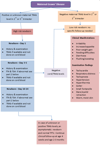 Flowchart for Management of Neonatal Thyrotoxicosis