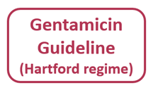 Gentamicin guideline logo