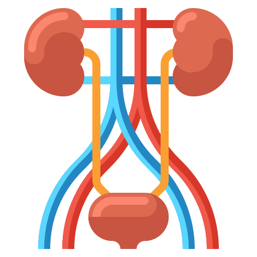 Icon image of urinary system