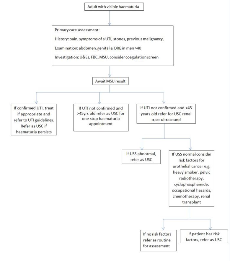 Frank haematuria pathway with step by step instructions of how a possible Frank haematuria is assessed and managed in adults.