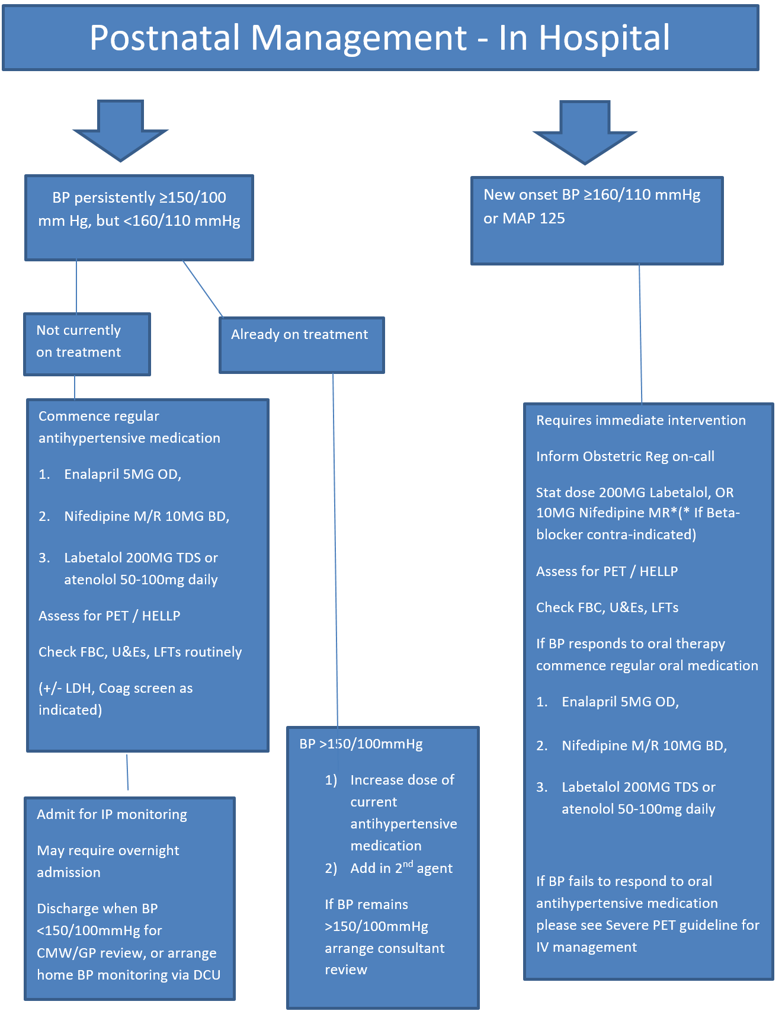 Postnatal hypertension management in hospital - flowchart