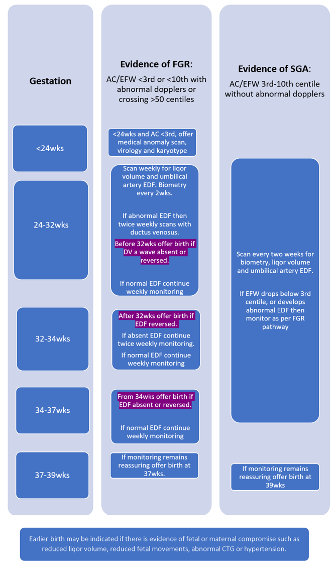 Algorithm for the monitoring and management of fetal growth restriction